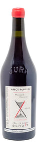 2022 Cellier Saint Benoit Arbois Pupillin Ploussard Chambines (750ml)