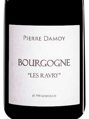 2019 Domaine Pierre Damoy Bourgogne Rouge Les Ravry (750ml)