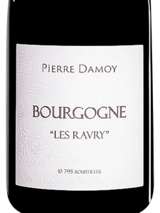 2019 Domaine Pierre Damoy Bourgogne Rouge Les Ravry (750ml)