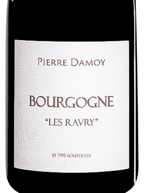 2019 Domaine Pierre Damoy Bourgogne Rouge Les Ravry (750ml)