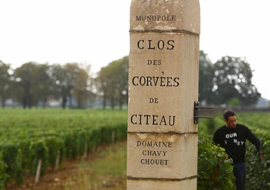 2019 Domaine Chavy-Chouet Meursault Clos des Corvées de Citeau Mag (1500ml)