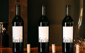 2016 Favia Cerro Sur Bordeaux Blend Napa Valley (750ml)